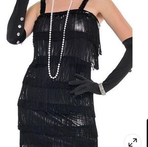 Flapper dressWomens Black Silver Flapper Dress Fringe Sequins Costume Large